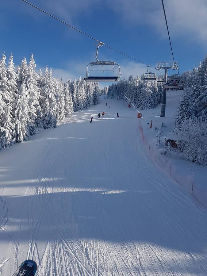 Moni Luxury Apartments Kopaonik Eksteriør billede